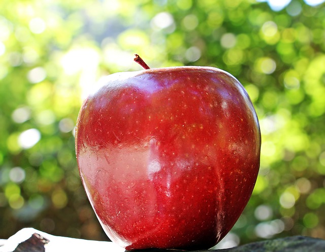 apple, macbook, logo, apple logo, technology, macbook pro, shining apple, mac, computer, laptop, design, apple logo, apple logo, apple logo, apple logo, apple logo
