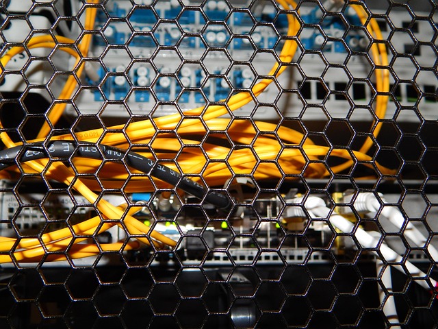 server, switch, network, router, the internet, technology, connection, data, cable, ethernet, web, digital, connections, equipment, server, server, server, server, server, router, router, router, router, ethernet, ethernet, ethernet
